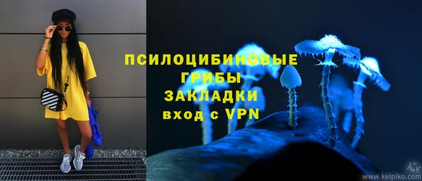 стаф Нефтекумск