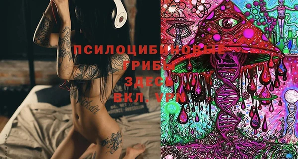 стафф Новокубанск