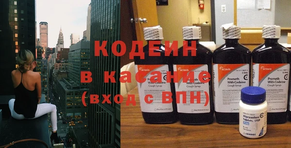 гашик Кропоткин