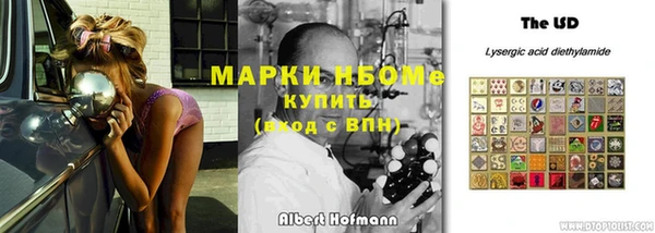 стаф Нефтекумск