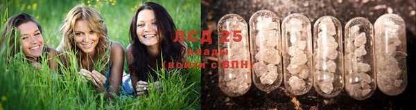 СК Нея