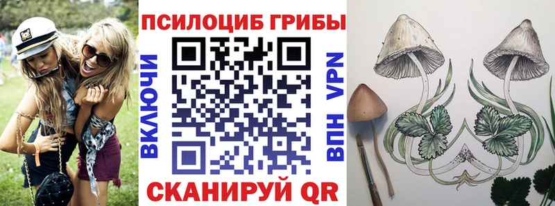 Псилоцибиновые грибы прущие грибы Малая Вишера